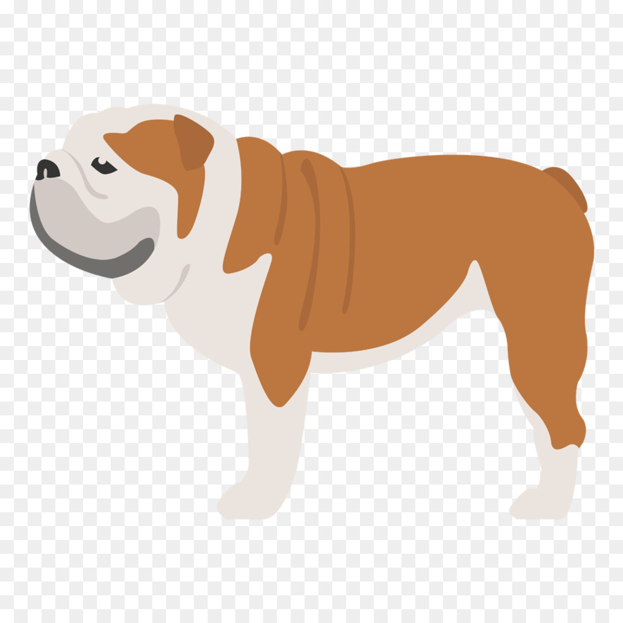 Antiguo Bulldog Inglés，Bulldog PNG