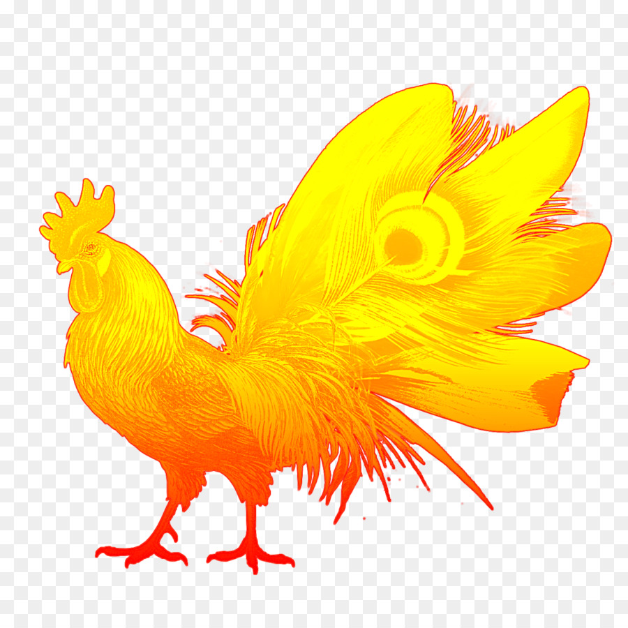 Gallo，Una Fotografía De Stock PNG