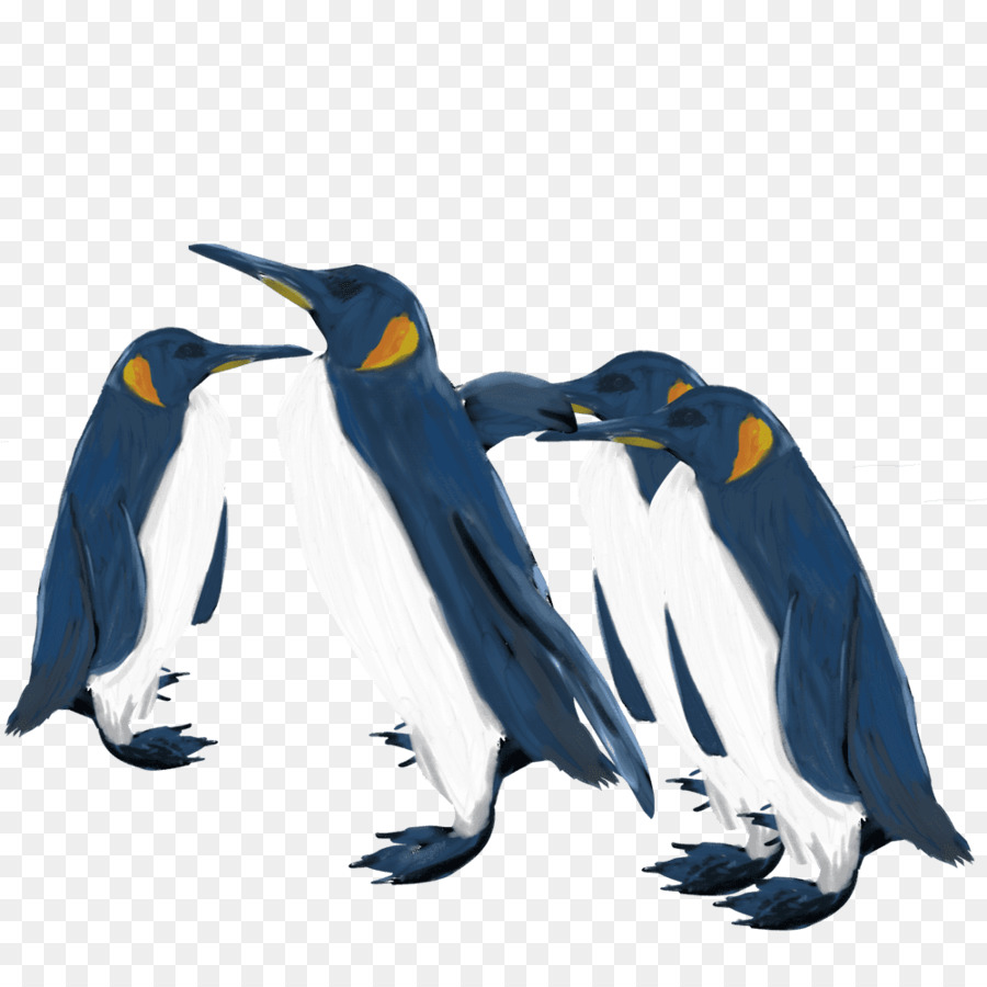 Pingüino Rey，Pingüino PNG