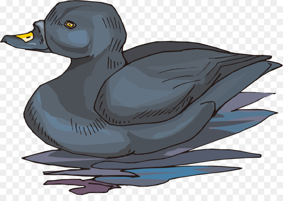 El ánade Real，Pato PNG