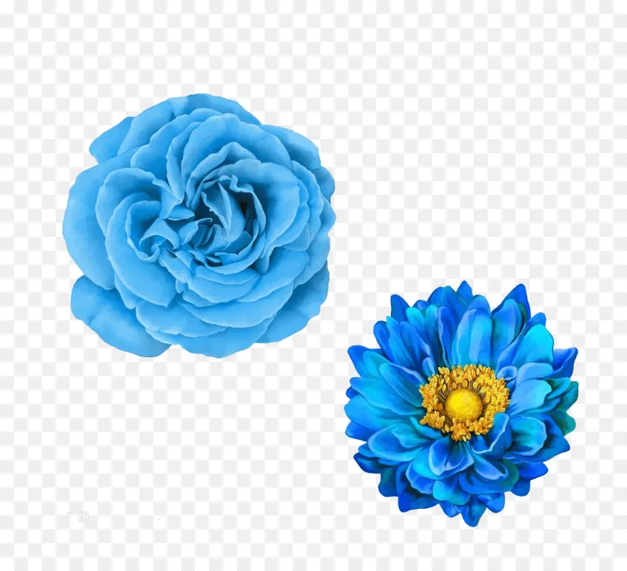 Flores Azules，Rosa PNG