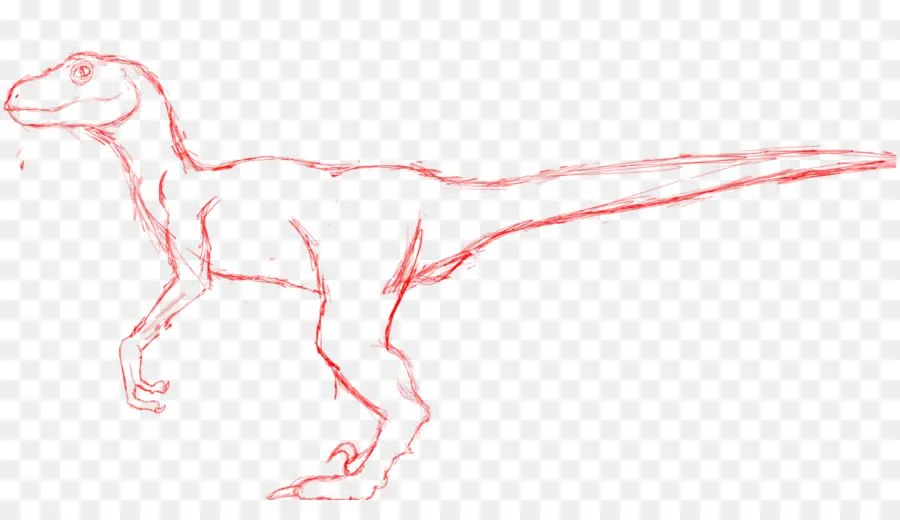 Dibujo De Dinosaurio，Tiranosaurio Rex PNG