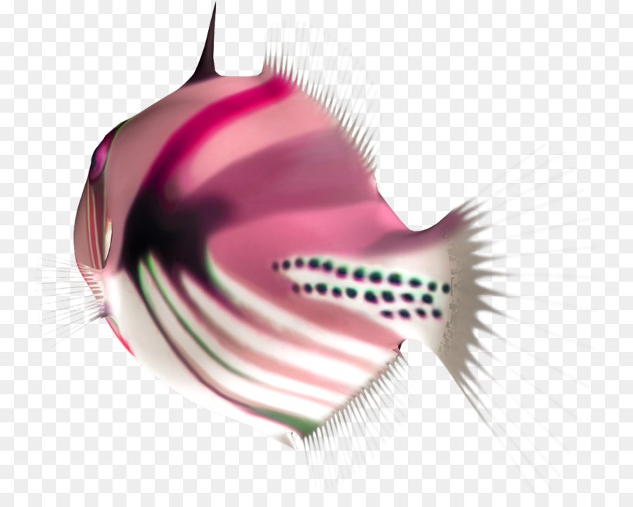 Los Peces，Descargar PNG