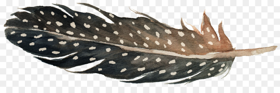 Pluma，Descargar PNG