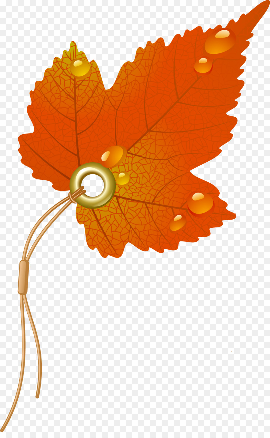 Royaltyfree，Otoño PNG