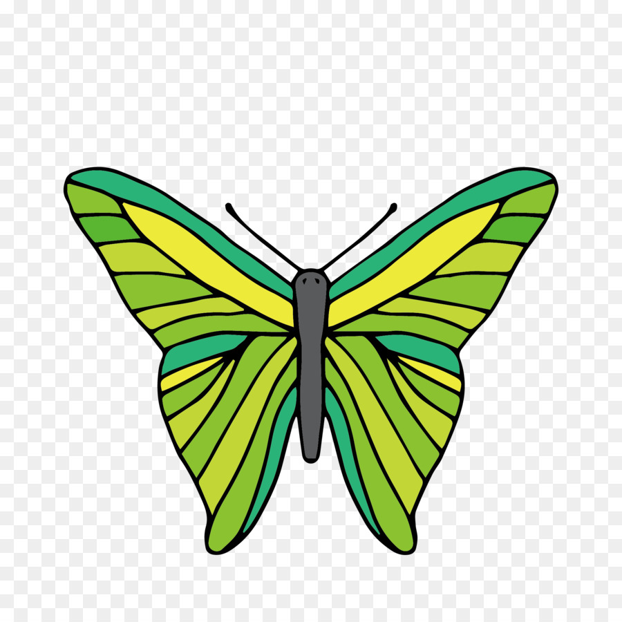 Mariposa Con Joyas，Mariposa PNG