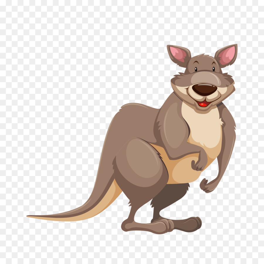 Canguro De Dibujos Animados，Marsupial PNG