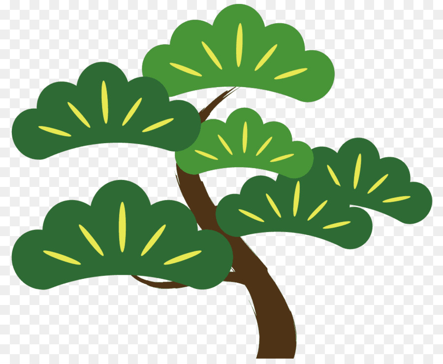 Árbol Bonsái，Árbol PNG