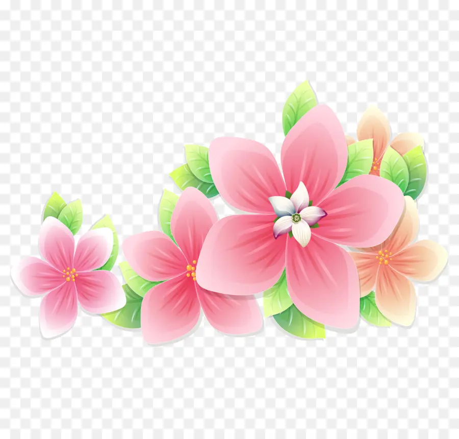 Flores Rosadas，Florecer PNG