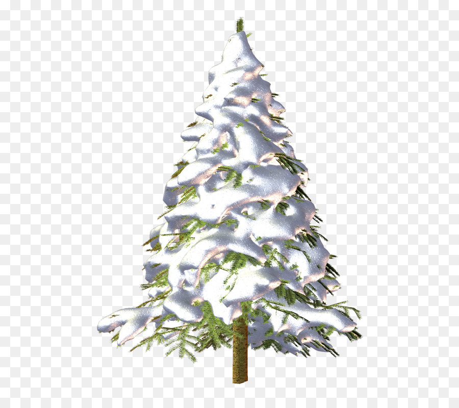 árbol De Navidad，Las Coníferas PNG