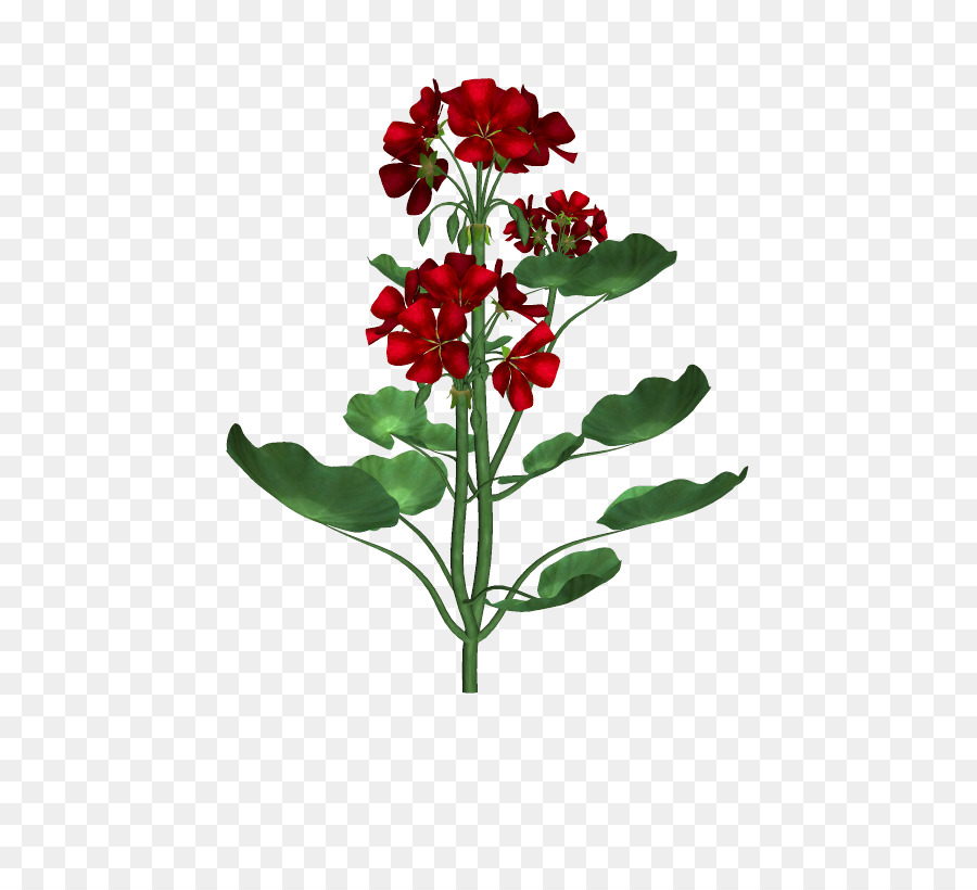 Flores Rojas，Pétalos PNG