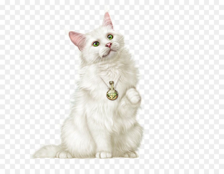 Gato，Ilustraciones De Animales PNG