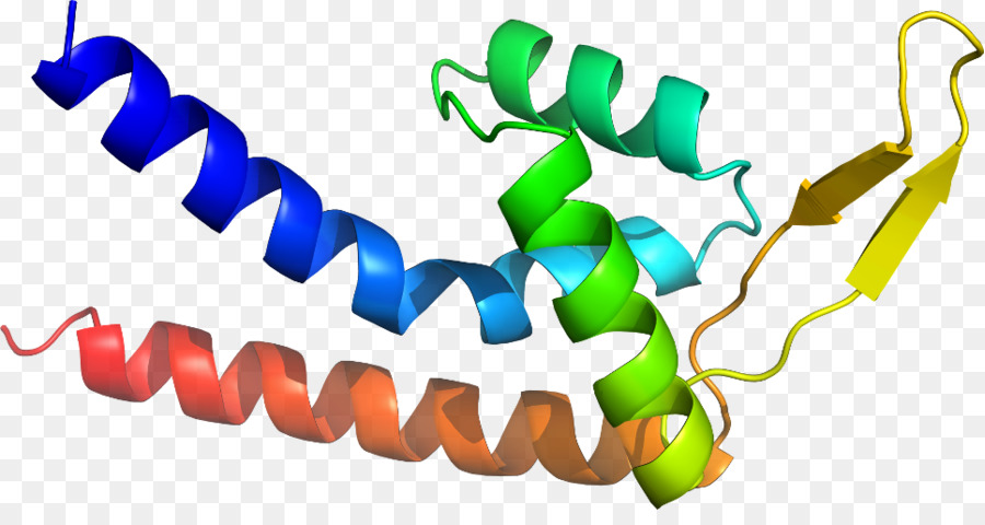 Hélice De Proteína，Molécula PNG