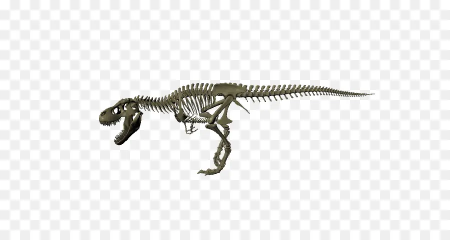 Tyrannosaurus，Anquilosaurio PNG