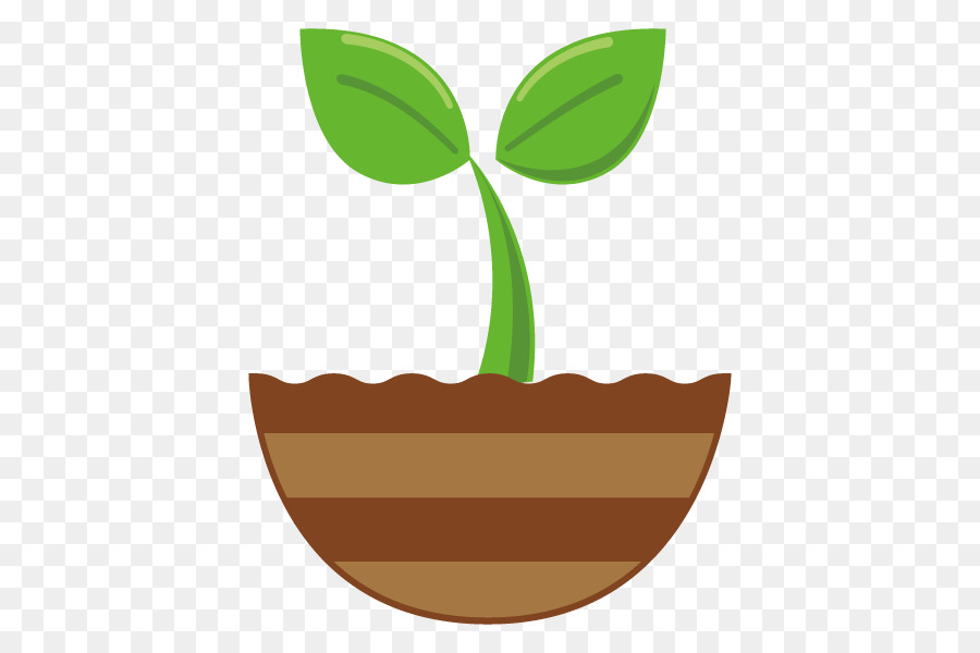 Planta，Hojas PNG