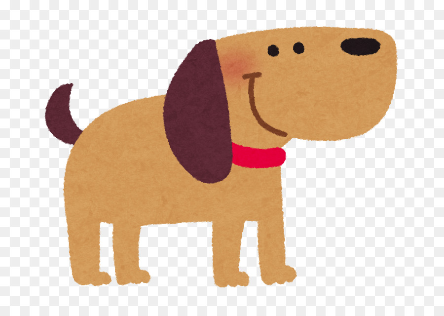 Cachorro，Caniche PNG