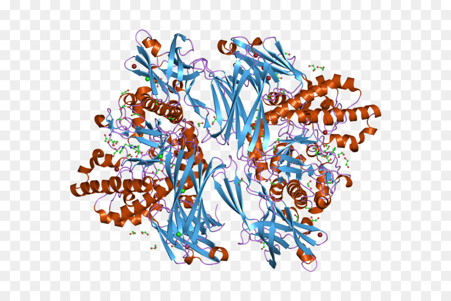 Estructura Proteica，Molécula PNG