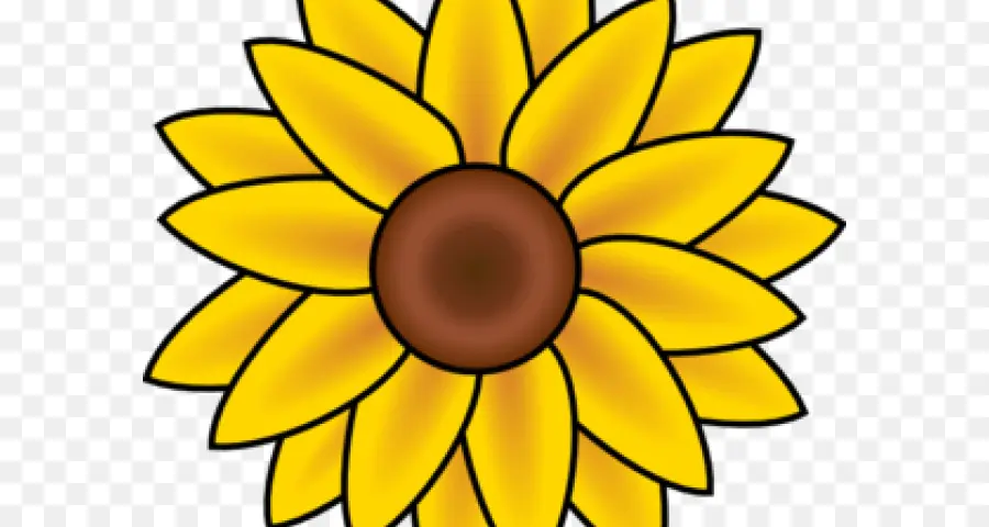 Girasol，Amarillo PNG