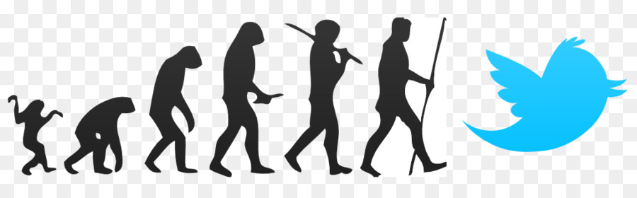 Evolución，La Evolución Humana PNG