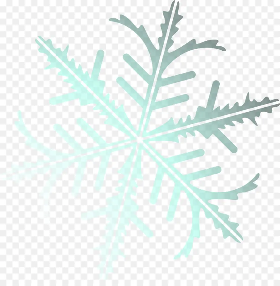 Copo De Nieve，Invierno PNG