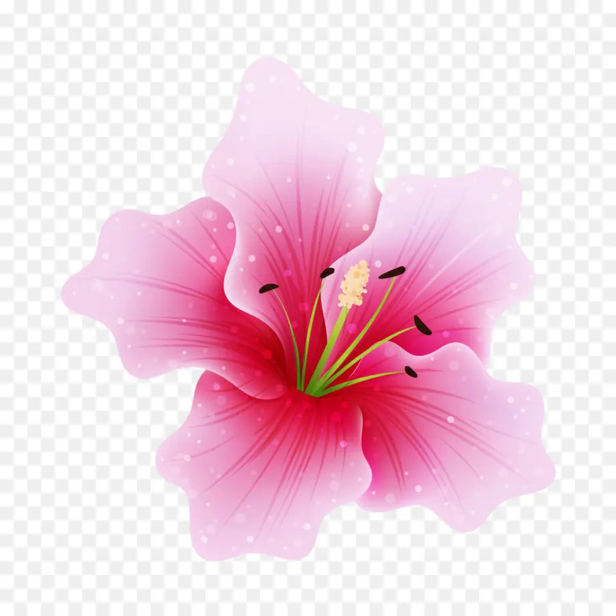 Flores De Color Rosa，Rosa PNG