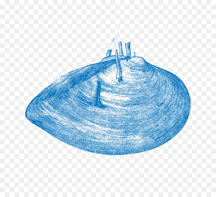 Dibujo，Mariscos PNG