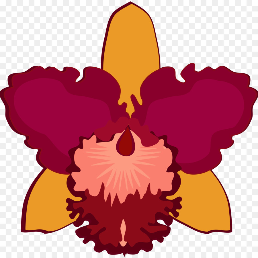 Las Orquídeas Cattleya，Diseño Floral PNG