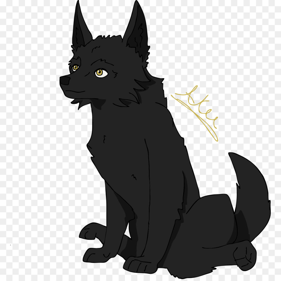 Schipperke，Gato Negro PNG