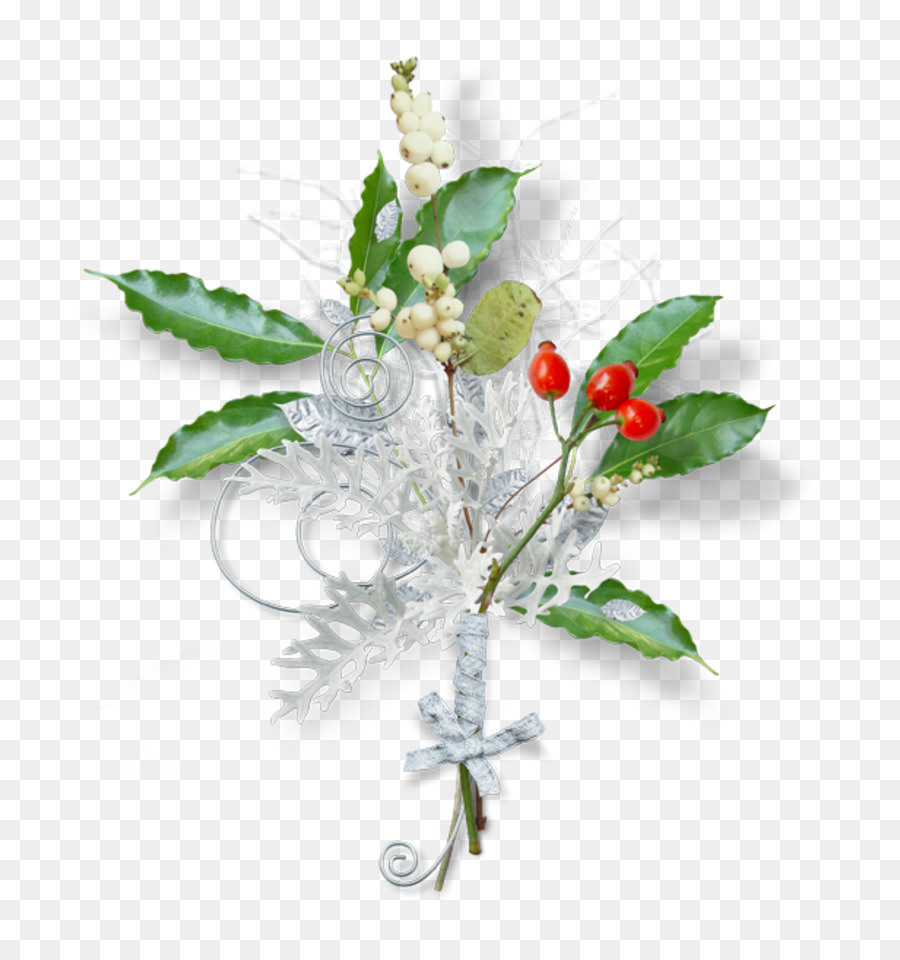 Decoracion Navideña，Acebo PNG