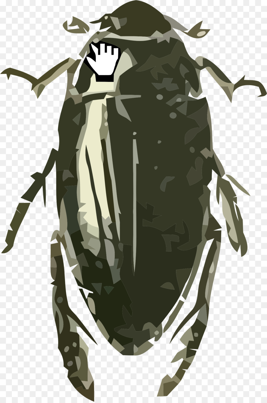 Escarabajo，Hydrophilus PNG