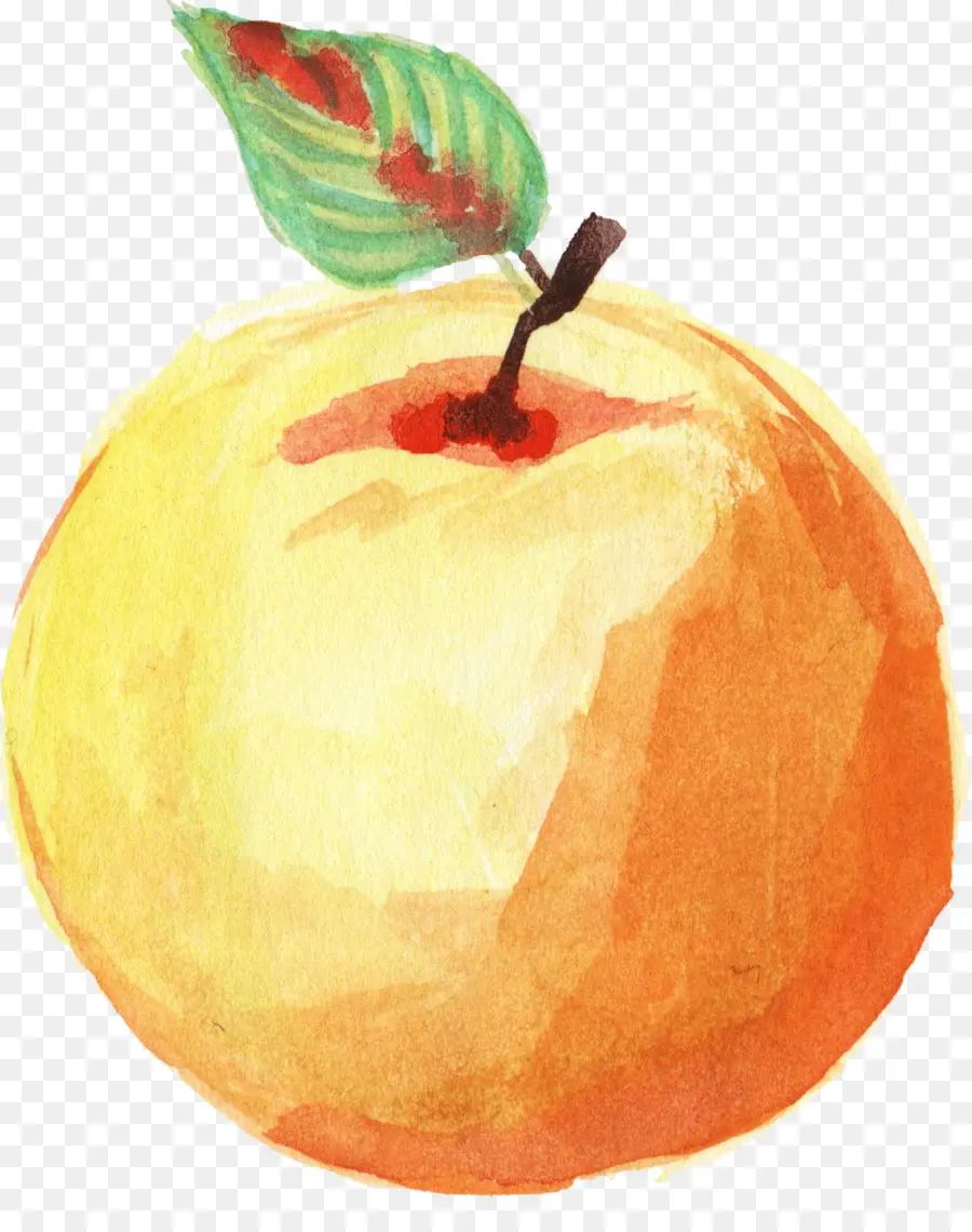 Apple，Pintura A La Acuarela PNG