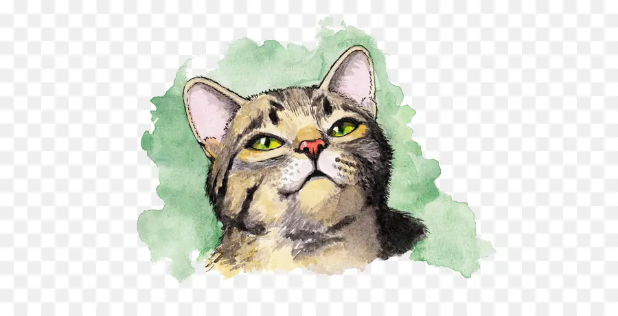 Gato，Mascota PNG