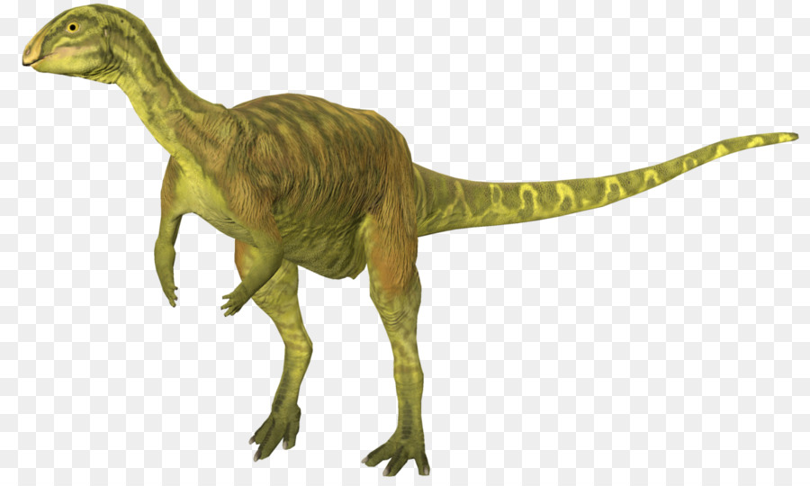 Dryosaurus，Tyrannosaurus PNG