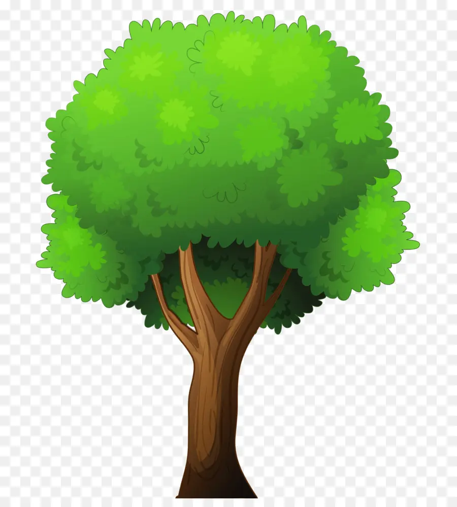 árbol Retorcido，Hojas Verdes PNG