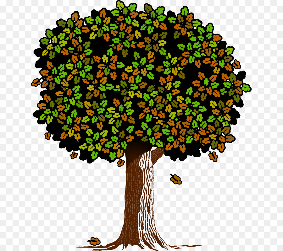 árbol，Hojas PNG