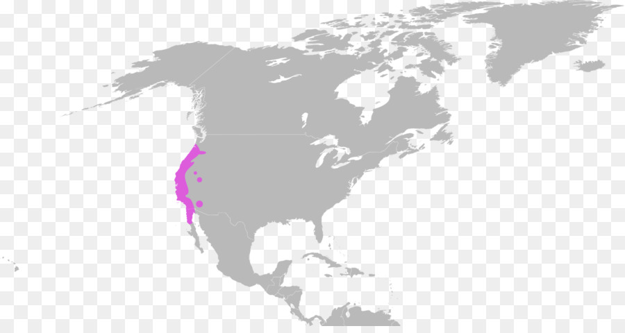 América Del Sur，Estados Unidos De América PNG