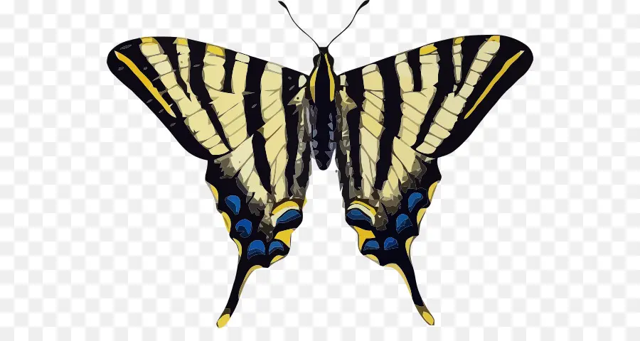 Mariposa De Swallowtail，Viejo Mundo De Cola De Golondrina PNG