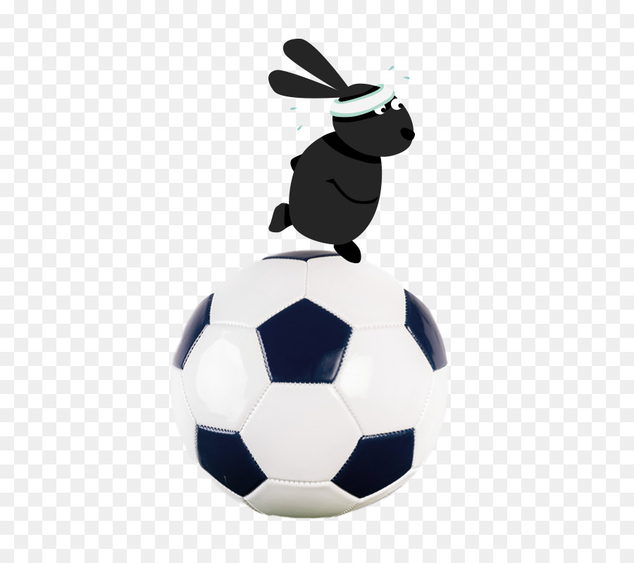 Fútbol，Bola PNG