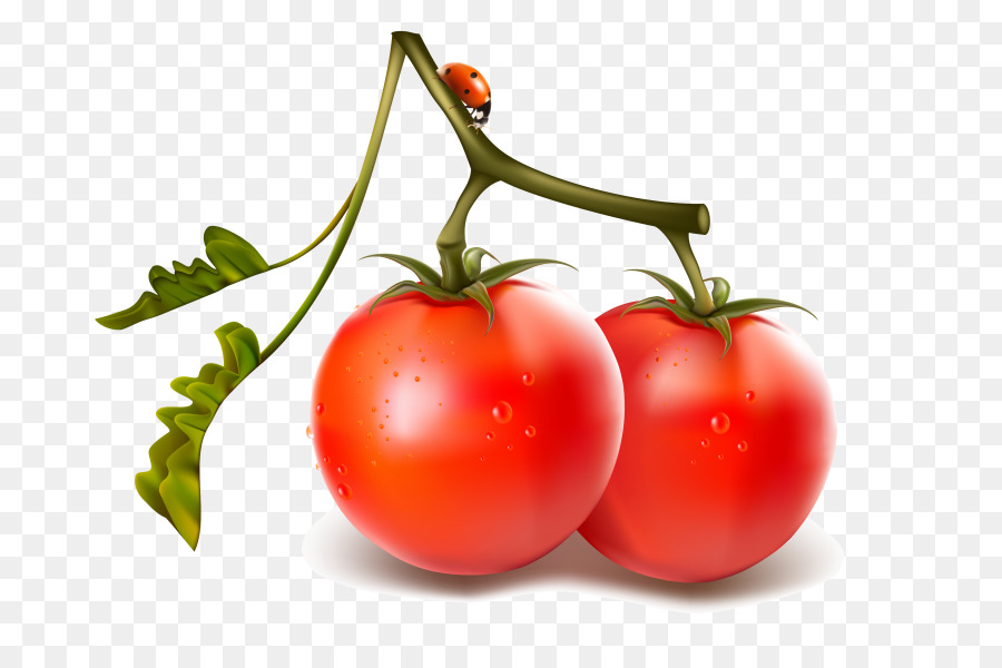 Tomates Rojos，Hojas Verdes PNG