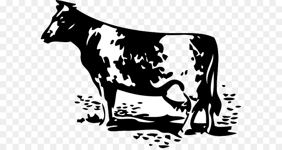 Ganado Holstein Friesian，Granja PNG
