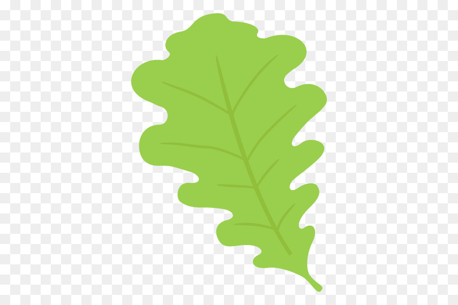 Hoja，Las Plantas PNG