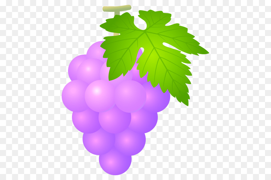 Uva，Koshu PNG