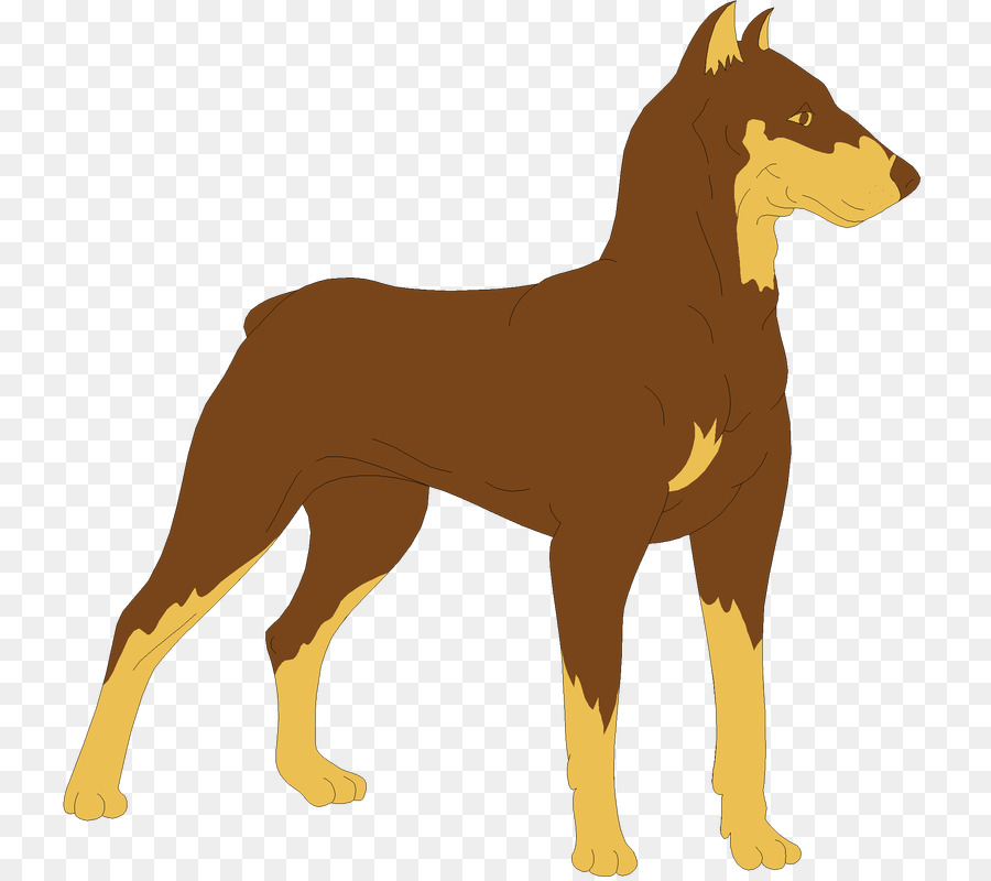 Dobermann，Diseño Gráfico PNG