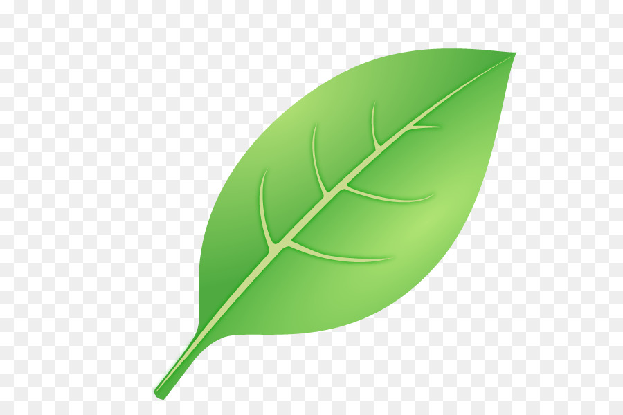 Hoja，Ilustrador PNG