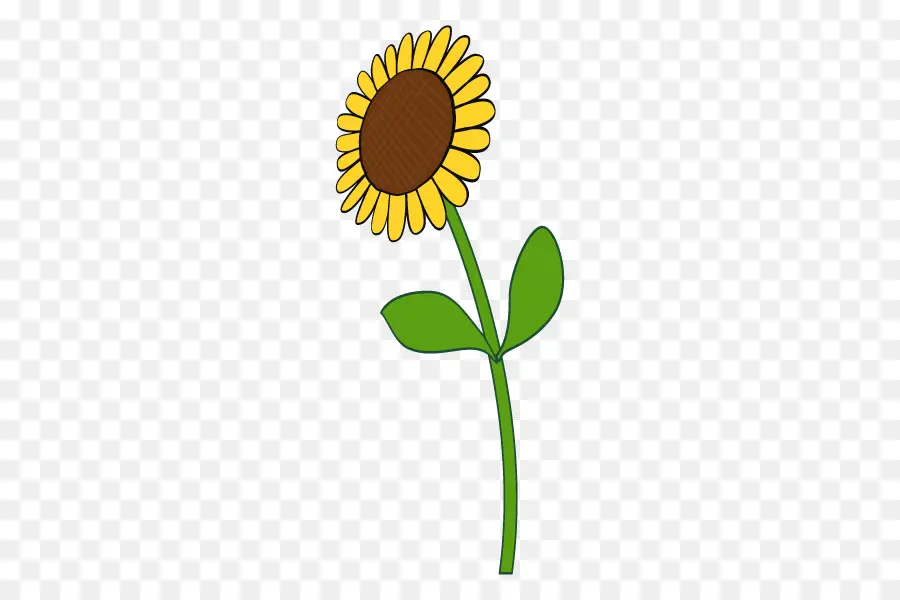 Girasol，Flor PNG