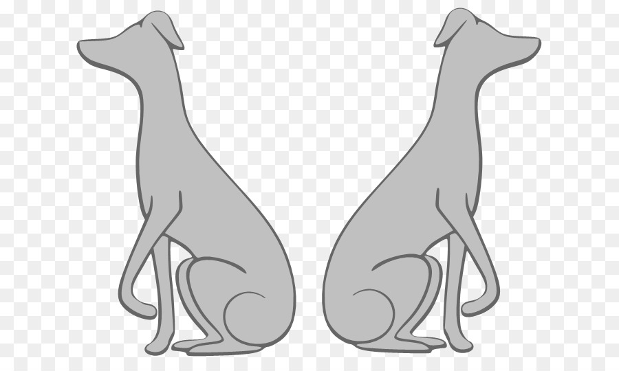 Whippet，Lebrel Italiano PNG