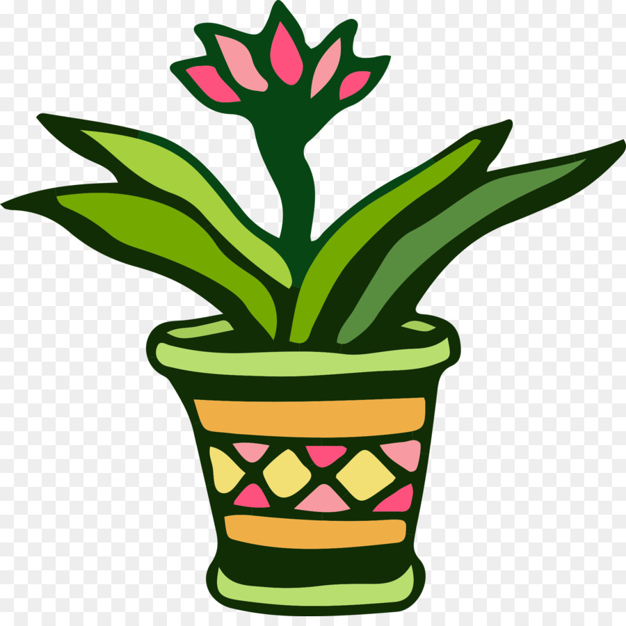 La Historieta，Cactus PNG