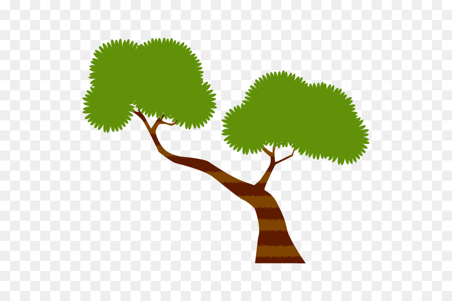 árbol Verde，Naturaleza PNG