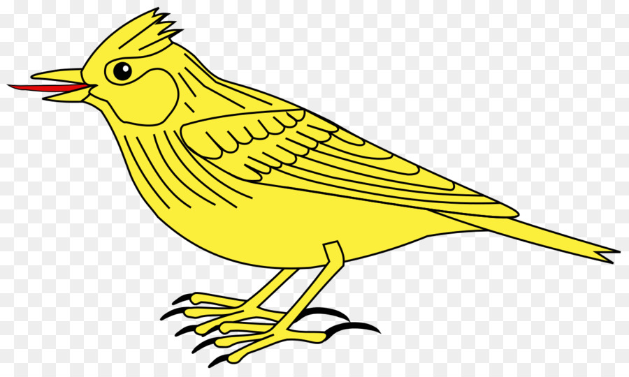 Pájaro，Plumas PNG