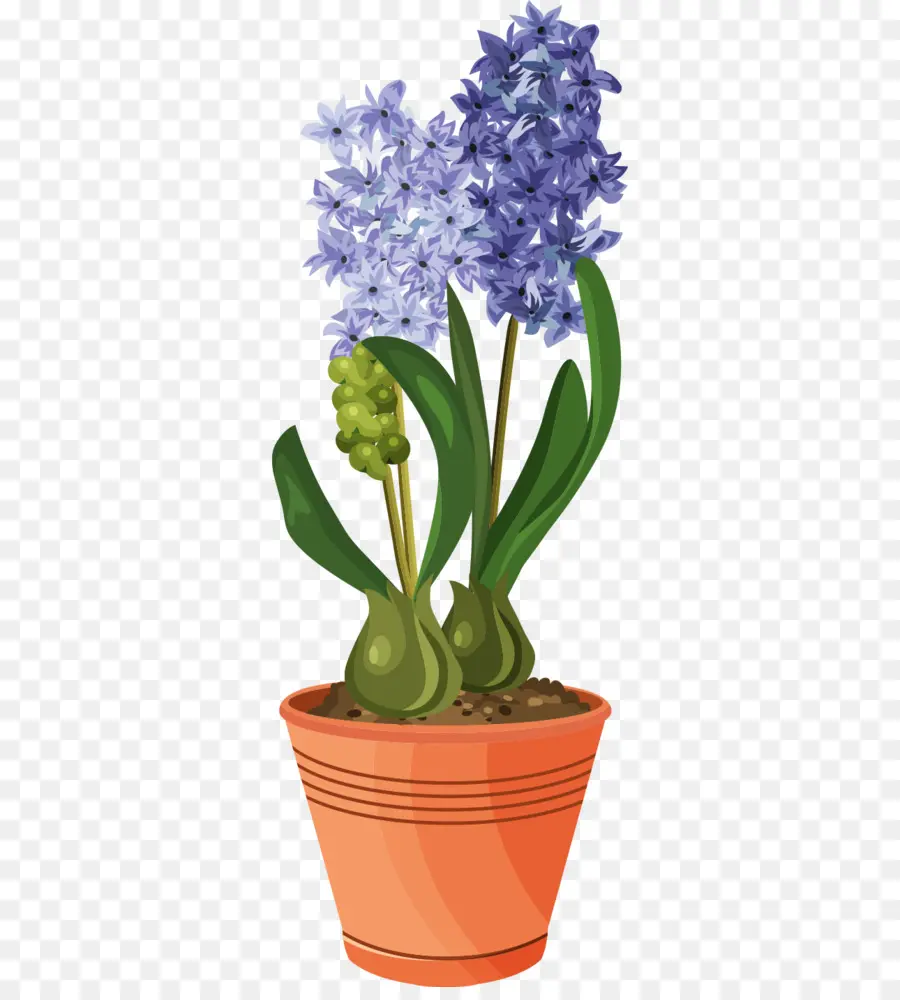 La Floración De Plantas De Maceta，Flor PNG